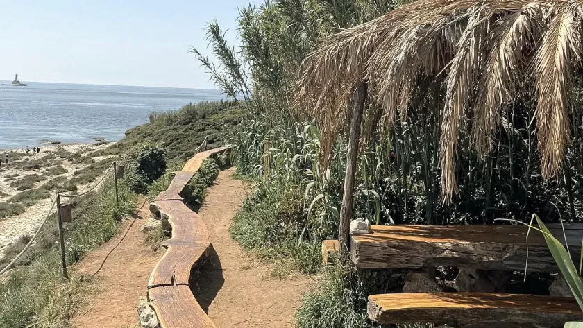 Safari Bar at Cape Kamenjak
